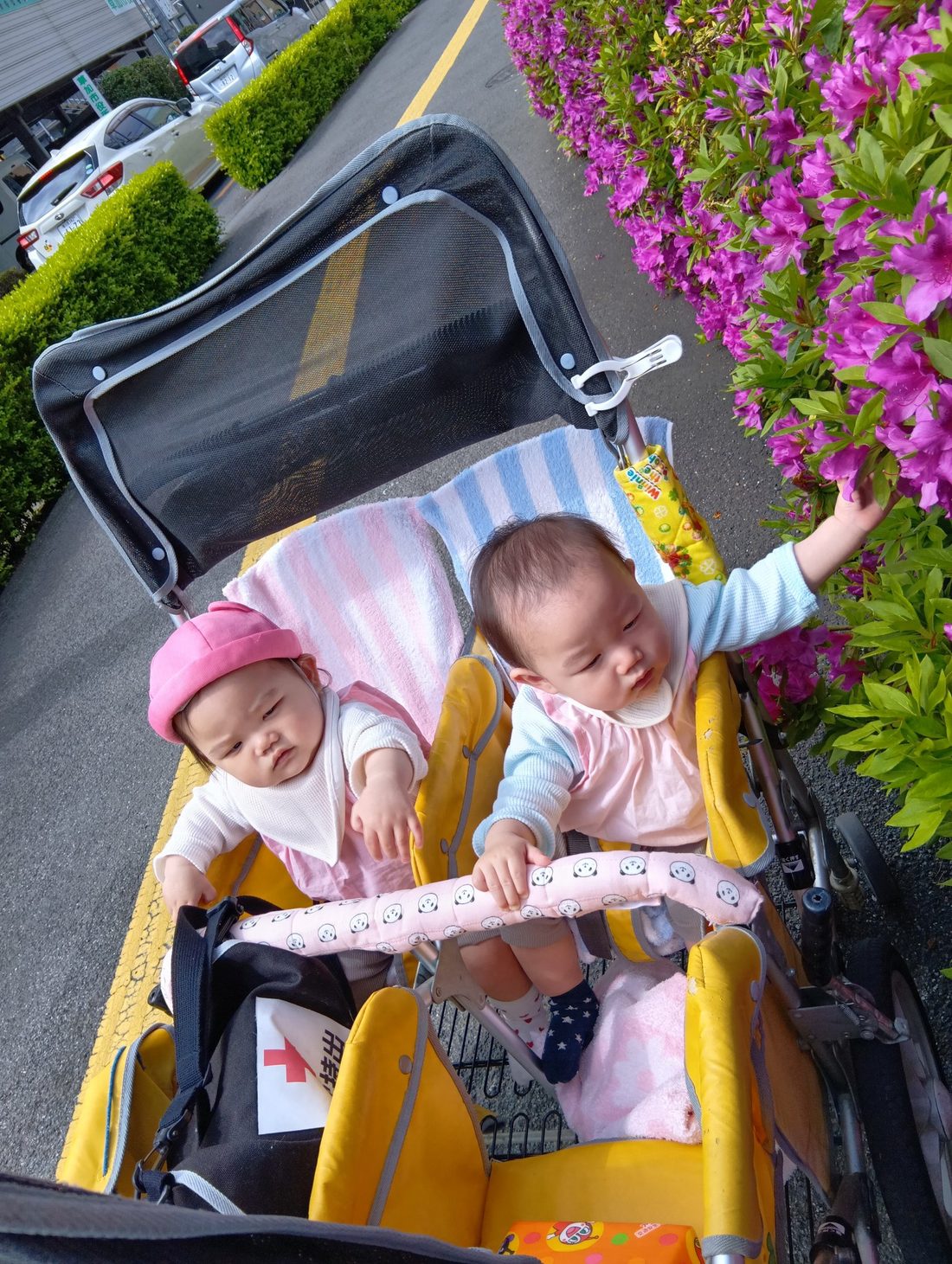 避難車に乗ってお散歩に出かける様子